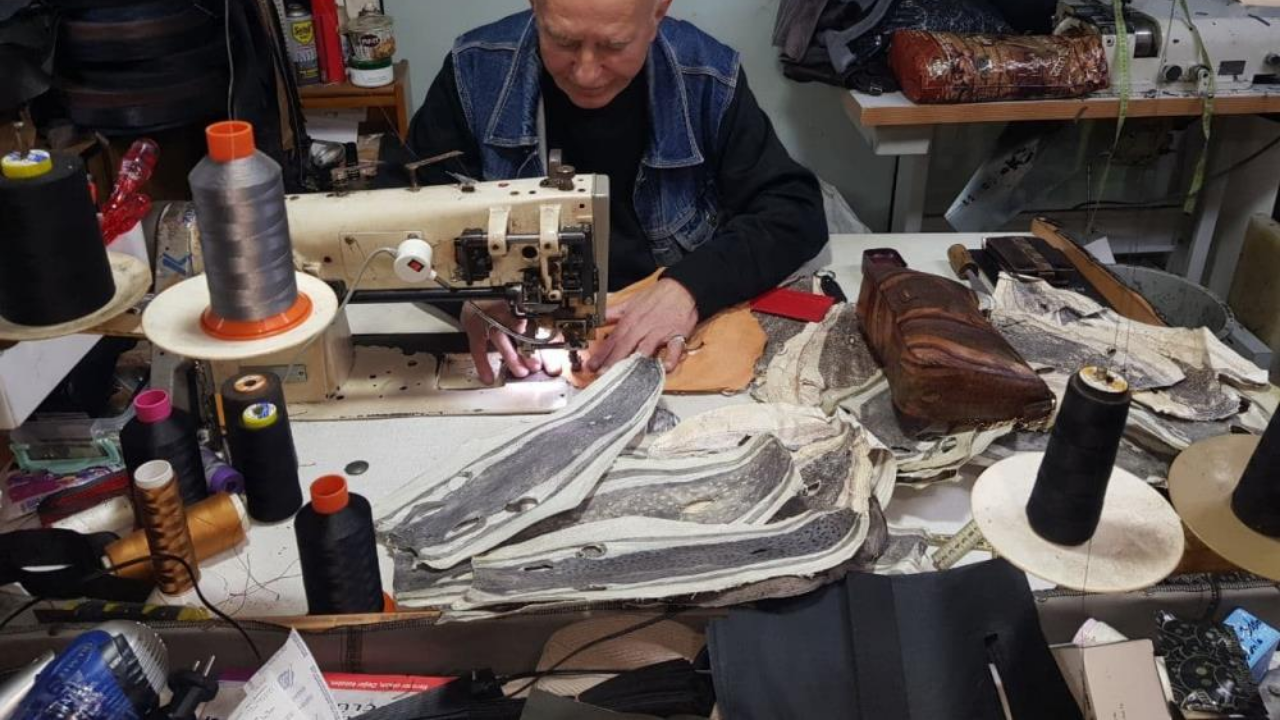 Yabani hayvan derisine alternatif: Balon balığı derisi artık moda